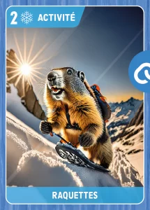 Raquettes
