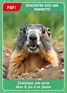 Rencontre avec une marmotte