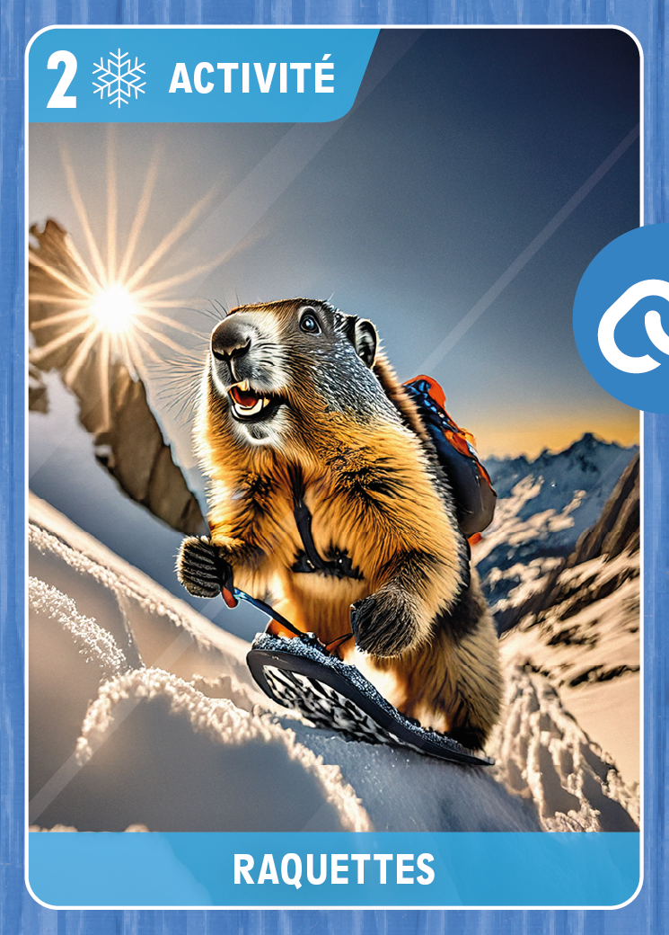 Raquettes