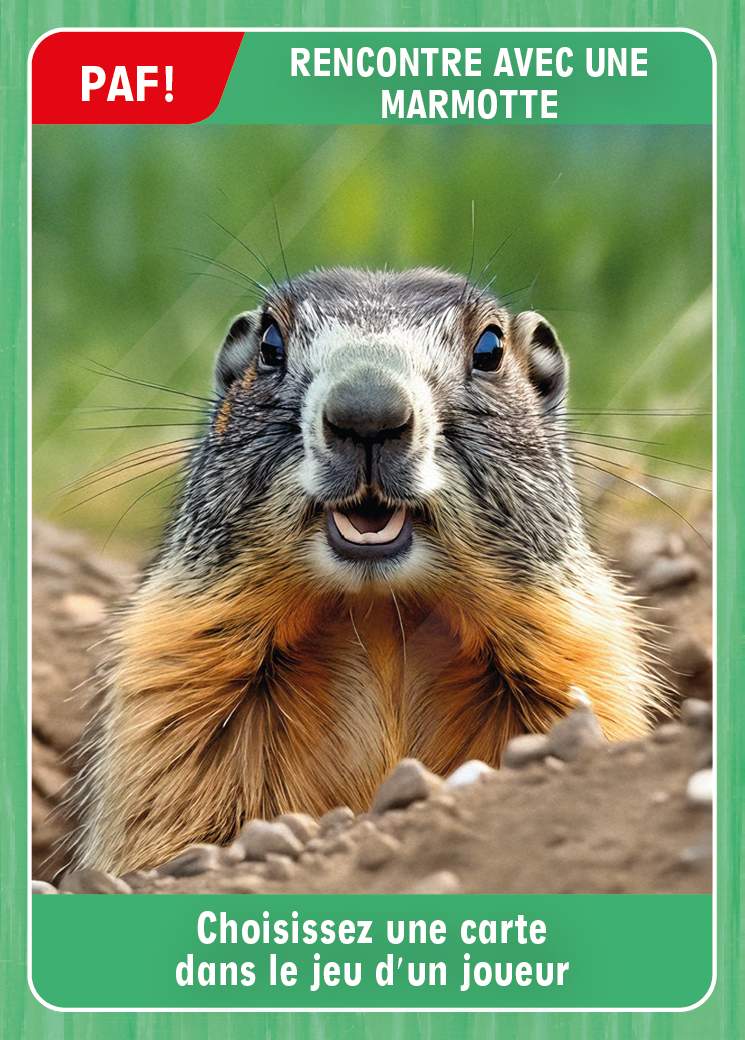 Rencontre avec une marmotte